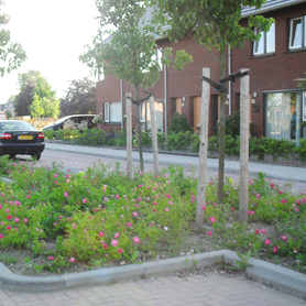 grootschalige tuin projecten van ontwerp tot aanleg en meer